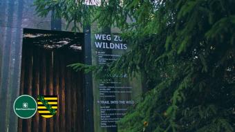 studio-klarheit-filmproduktion-imagefilm-und-doku-staatsbetrieb-forst-und-nationalpark-sachsen-2026